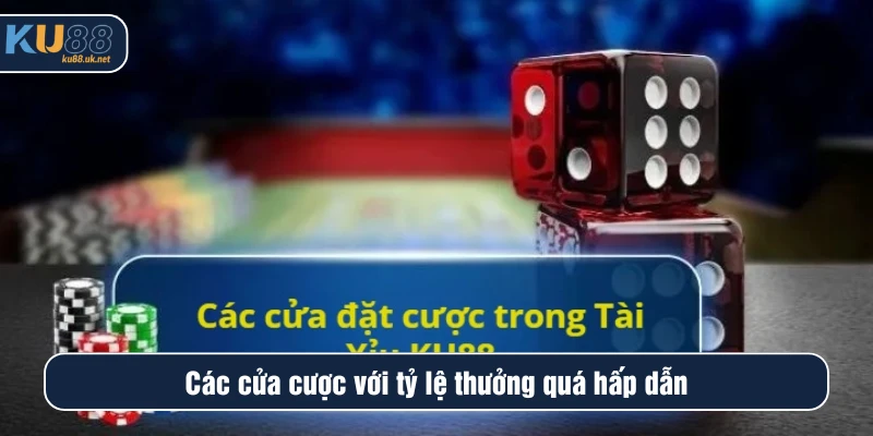 Các cửa cược với tỷ lệ thưởng quá hấp dẫn