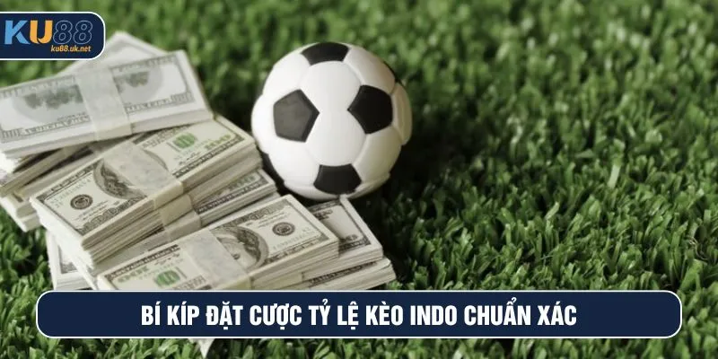 Bí kíp đặt cược tỷ lệ kèo Indo chuẩn xác