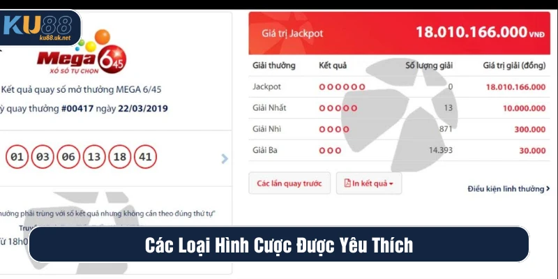 Các loại hình đẳng cấp hội viên nên trải nghiệm