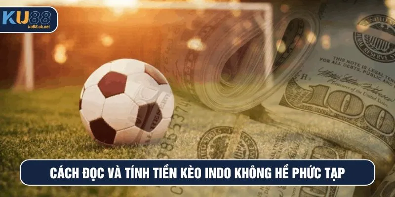 Cách đọc và tính tiền kèo Indo không hề phức tạp