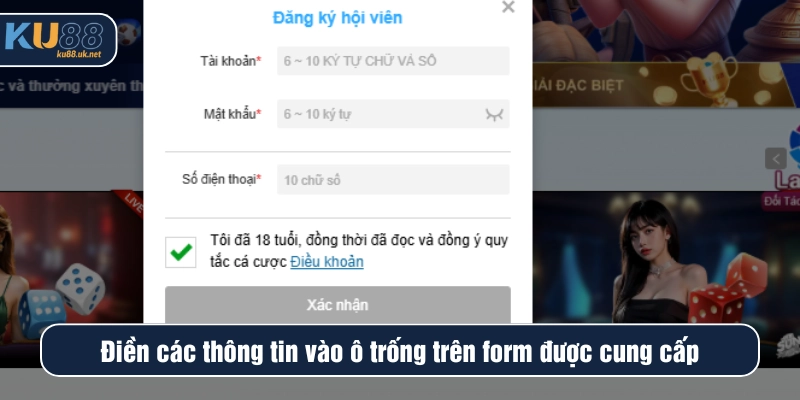 Điền các thông tin vào ô trống trên form nhà cái cung cấp