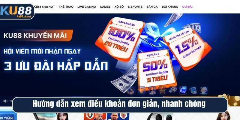 Hướng dẫn xem điều khoản đơn giản, nhanh chóng