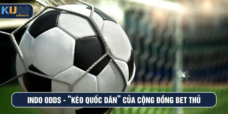 Indo Odds - “Kèo quốc dân” của cộng đồng bet thủ