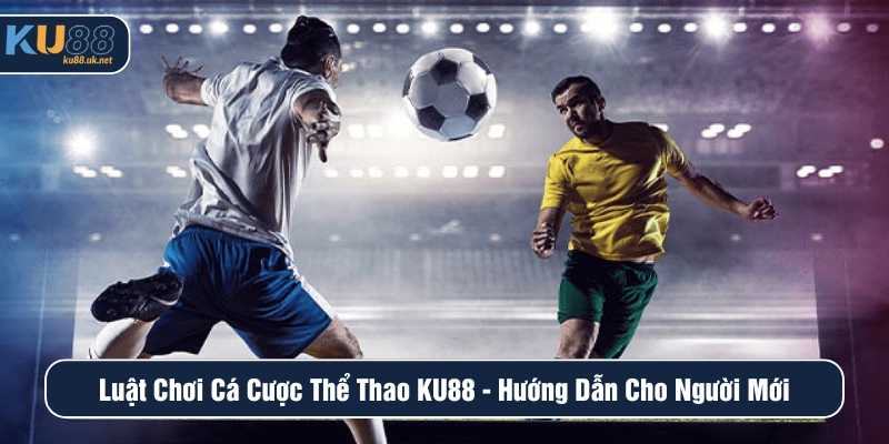 Luật chơi cá cược thể thao KU88