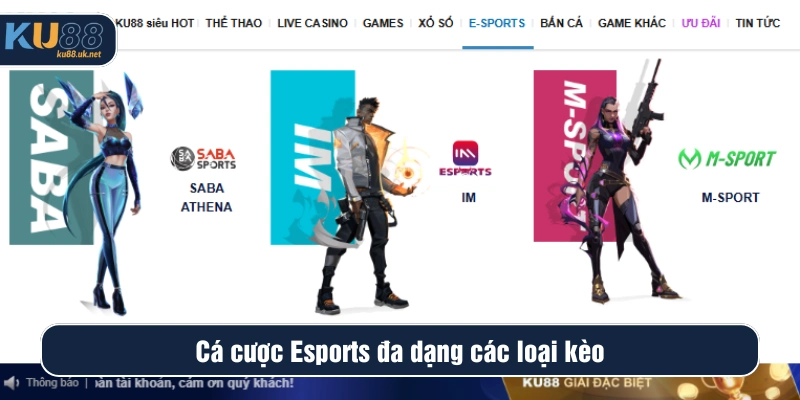 Người chơi có nhiều sự lựa chọn khi chốt kèo Esports ở KU88
