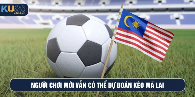 Người chơi mới vẫn có thể dự đoán kèo Mã Lai