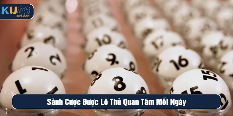 Sảnh cược được lô thủ quan tâm mỗi ngày