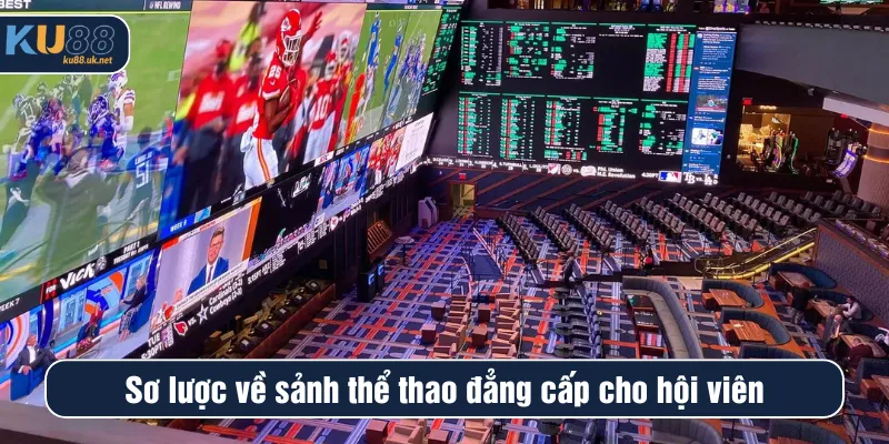 Sơ lược về sảnh thể thao đẳng cấp cho hội viên