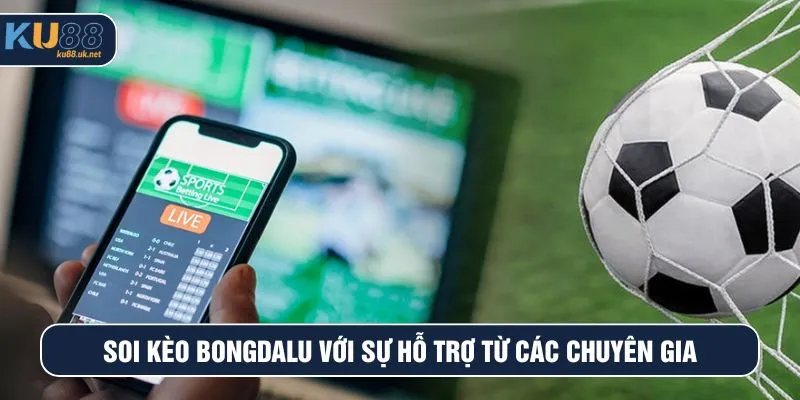 Soi kèo Bongdalu với sự hỗ trợ từ các chuyên gia