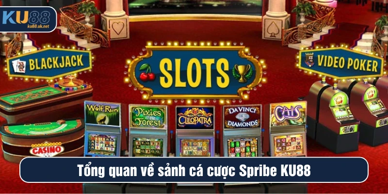 Tổng quan về sảnh cá cược Spribe KU88
