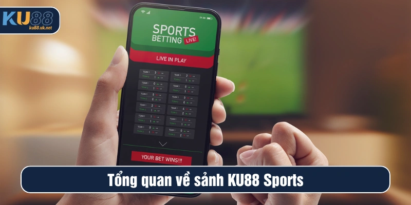 Tổng quan về sảnh Ku88 Sports
