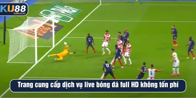 Trang cung cấp dịch vụ live bóng đá full HD không tốn phí 