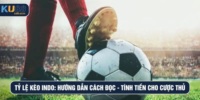 Tỷ lệ kèo Indo