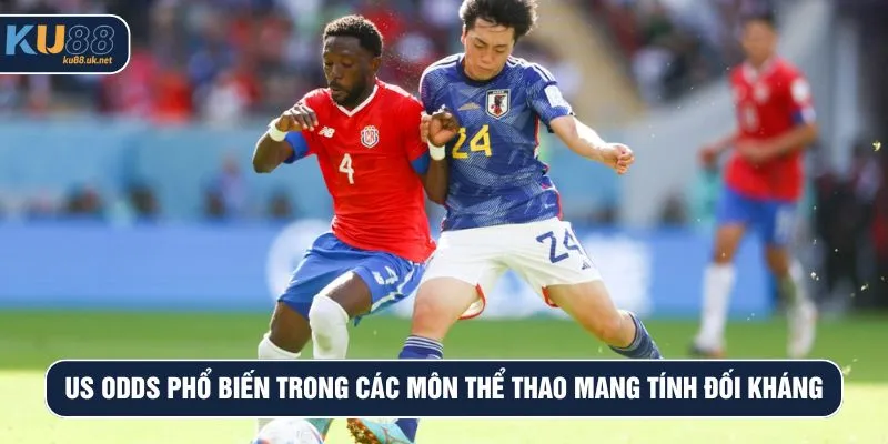 US odds phổ biến trong các môn thể thao mang tính đối kháng